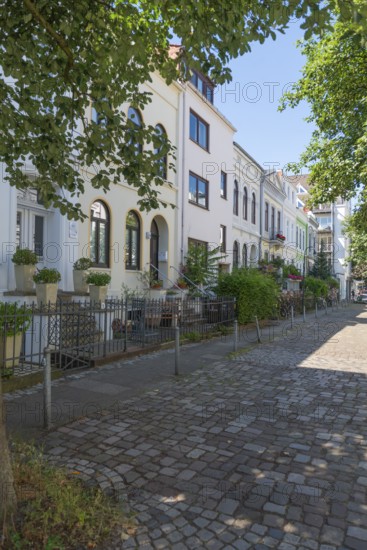 Residential street in the Ostertor neighbourhood a popular residential area, eastern suburb, Wilhelminian style buildings, traffic-calmed, whitewashed facades, cobblestones, stairs to the entrance, plants, trees, sunshine, Bremen, Germany