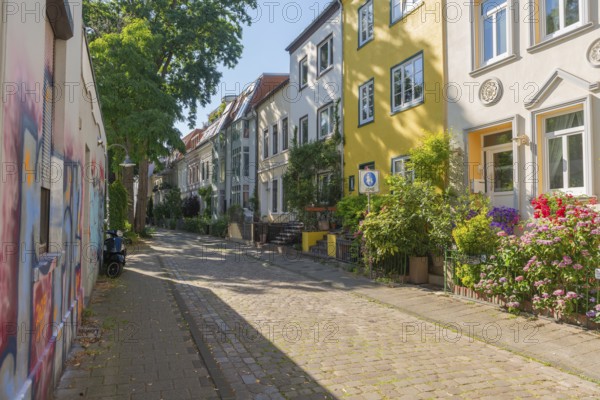 Residential street in the Ostertor neighbourhood a popular residential area, eastern suburb, Wilhelminian style building, cobblestones, stairs to the entrance, traffic-calmed, flowering plants, trees, footpath, graffiti, facades, Bremen, Germany