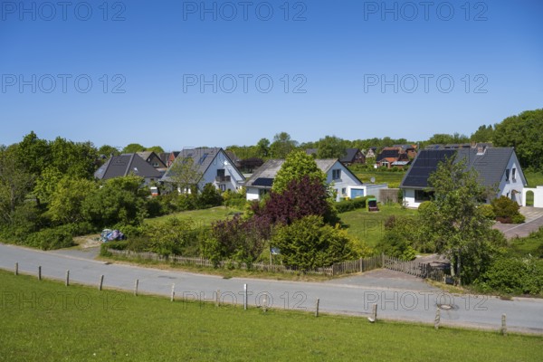 Detached houses in the countryside by the dyke, Tammensiel, Pellworm Island, North Sea, North Frisia, Schleswig-Holstein, Germany