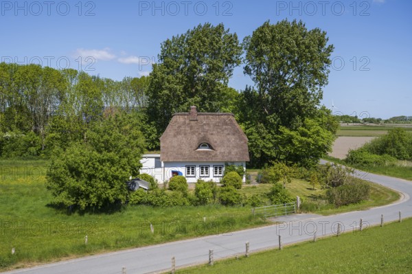 Frisian house with thatched roof, landscape on the dyke, Tammensiel, Pellworm Island, North Sea, North Frisia, Schleswig-Holstein, Germany