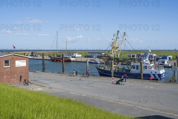 Fishing boats in the harbour, Tammensiel, Pellworm Island, North Frisia, North Sea, Schleswig-Holstein, Germany