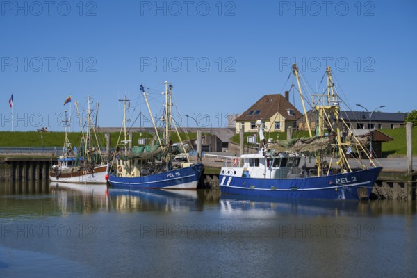 Fishing boats in the harbour of Tammensiel, Pellworm Island, North Frisia, North Sea, North Frisia, Schleswig-Holstein, Germany