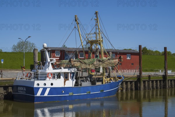 Fishing boat in the harbour of Tammensiel, Pellworm Island, North Frisia, North Sea, Schleswig-Holstein, Germany