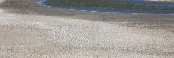 Wadden Sea at low tide, parched earth Schleswig-Holstein Wadden Sea National Park, Pellworm Island, North Frisia, North Sea, Schleswig-Holstein, Germany