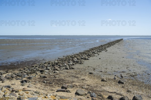 Wadden Sea at low tide, groynes, breakwater, Schleswig-Holstein Wadden Sea National Park, Pellworm Island, North Frisia, North Sea, Schleswig-Holstein, Germany