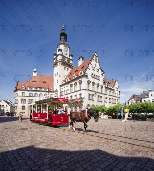 Döbeln tram, historic horse-drawn tram at the Döbeln upper market, rail transport, local public transport, tradition, traditional association, museum, museum railway, old town, Döbeln, Saxony, Germany