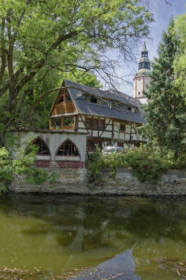 Historic dyers' houses on the Mulde river, renovated half-timbered buildings, Döbeln old town, Döbeln, Saxony, Germany
