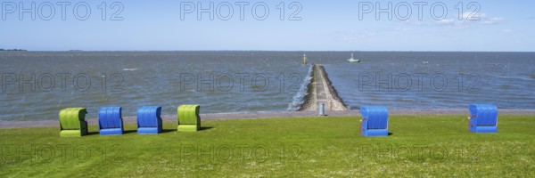 Beach chairs on a blooming meadow on the North Sea coast, GrÃ¼nstrand, Pellworm Island, North Sea, North Frisia, Schleswig-Holstein, Germany