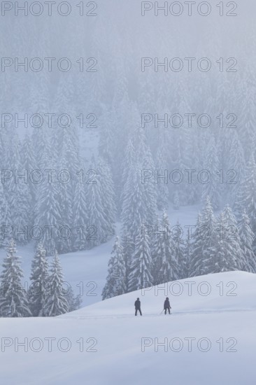 Two people hiking on a winter hiking trail in foggy conditions, Switzerland