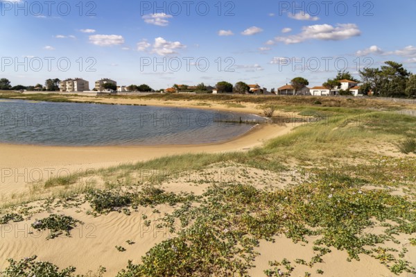 Beach and lagoon at the Belle Henriette L'Aiguillon-la-Presqu'ile National Nature Reserve, France
