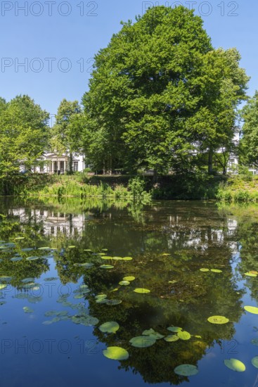 View across the water to Contresarpe Street, Bremen ramparts, formerly part of the city fortifications with ramparts and moat, today a park, water reflection, water lily leaves, nature experience, history, Bremen, Germany