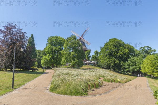 Mill on the rampart or HerdentorsmÃ¼hle, type gallery follower with wind direction tracking, restaurant and café, terrace with sunshades, single monument, fork in the road, group of trees, flowers, lawn, Bremen ramparts, formerly part of the city fortifications with rampart and moat, today park, history, Bremen, Germany