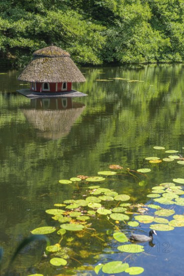 Floating duck breeding house with thatched roof, serous leaves, water reflection, Bremen ramparts, formerly part of the city fortifications with ramparts and moat, today park, history, Bremen, Germany