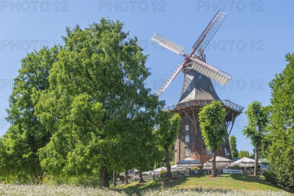 MÃ¼hle am Wall or HerdentorsmÃ¼hle, type gallery mill with wind direction tracking, restaurant and café, terrace with sunshades, single monument, group of trees, blooming flowers, Bremen ramparts, formerly part of the city fortifications with rampart and moat, today park, history, Bremen, Germany