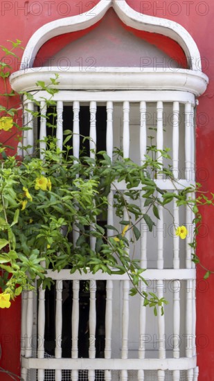 Olorful streets of Cartagena in historic Getsemani district near Walled City, Ciudad Amurallada