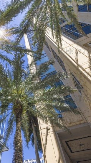 Florida, Fort Lauderdale, Las Olas Boulevard. Downtown financial district and city skyline