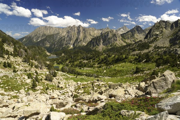 Mountain landscape in the AigÃ¼estortes i Estany de Sant Maurici National Park, Catalonia, Spain