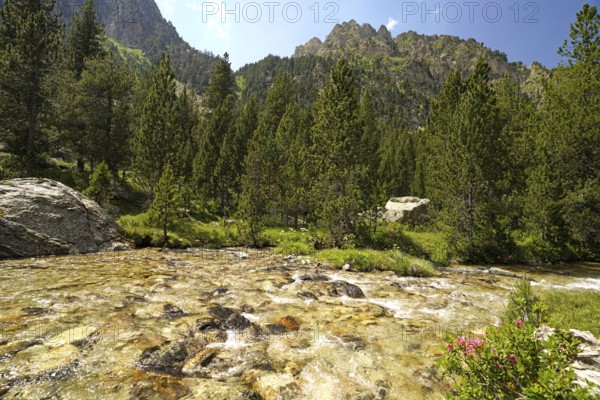 The Riu de Monestero river in the AigÃ¼estortes i Estany de Sant Maurici National Park, Catalonia, Spain