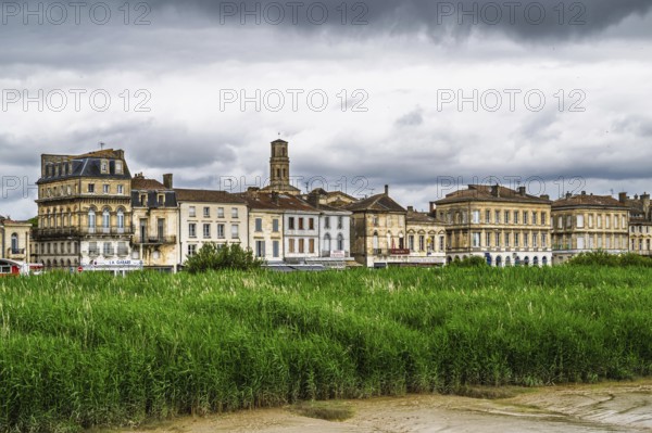 Pauillac, Gironde Estuary, Bordeaux, Gironde, Nouvelle-Aquitaine, France