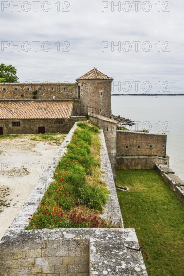 Castle Fouras, Fouras-les-Bains, Charente-Maritime, Nouvelle-Aquitaine, France