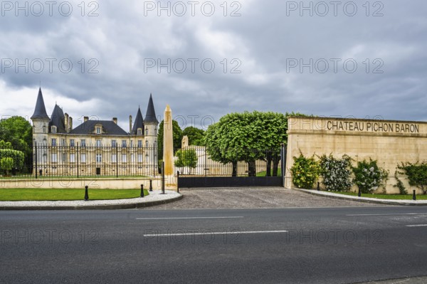 Vineyard of Chateau Pichon Longueville Baron Vineyard and grape fields around Pauillac, Bordeaux, Gironde, Nouvelle-Aquitaine, France