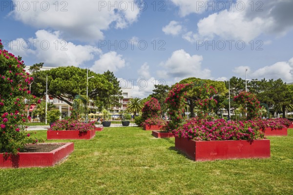 Royan, Nouvelle-Aquitaine, Charente-Maritime, France