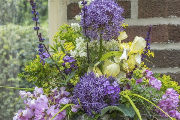 Bouquet with allium, iris and robinia, North Rhine-Westphalia, Germany