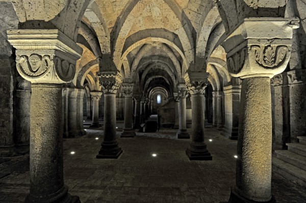 Vaults, columns and capitals in the underground grove of columns, pagan crypt, 10th century, atmospheric lighting, Cathedral of Acquapendente, Basilica of the Holy Sepulchre, Basilica Santo Sepolcro, Basilica minor, Aquapendente, Province of Viterbo, Lazio, Italy