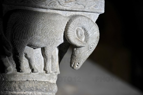 Column capital with ram, relief in stone, underground grove of columns, pagan crypt, 10th century, gloomy illumination, Cathedral of Acquapendente, Basilica of the Holy Sepulchre, Basilica Santo Sepolcro, Basilica minor, Aquapendente, Province of Viterbo, Lazio, Italy