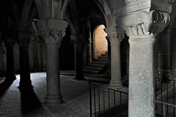 Vault, column capital with ram, relief in stone, underground grove of columns, pagan crypt, 10th century, gloomy lighting, dramatic, Cathedral of Acquapendente, Basilica of the Holy Sepulchre, Basilica Santo Sepolcro, Basilica minor, Aquapendente, Province of Viterbo, Lazio, Italy