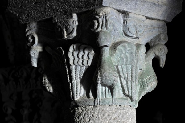 Column capital with dove, relief in stone, underground grove of columns, pagan crypt, 10th century, gloomy illumination, Cathedral of Acquapendente, Basilica of the Holy Sepulchre, Basilica Santo Sepolcro, Basilica minor, Aquapendente, Province of Viterbo, Lazio, Italy