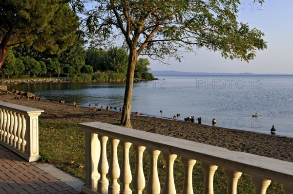 Lake promenade, balustrades, beach with ducks, Lake Bolsena, Lago di Bolsena, volcanic crater lake, calm smooth water surface, warm evening light, Bolsena, Province of Viterbo, Lazio, Italy