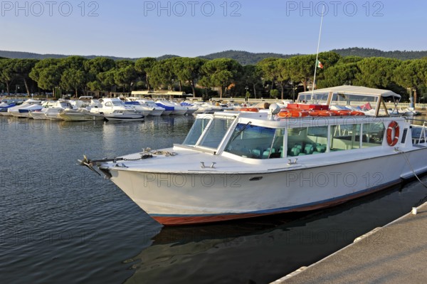 Excursion boat, motorboat and yachts in the marina of Bolsena, Porto Turistico di Bolsena, pine avenue, Lake Bolsena, Lago di Bolsena, volcanic crater lake, Bolsena, Province of Viterbo, Lazio, Italy