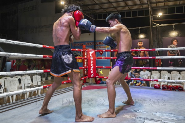 Thai boxing Muai Thai boxer in action, Pattaya, Thailand