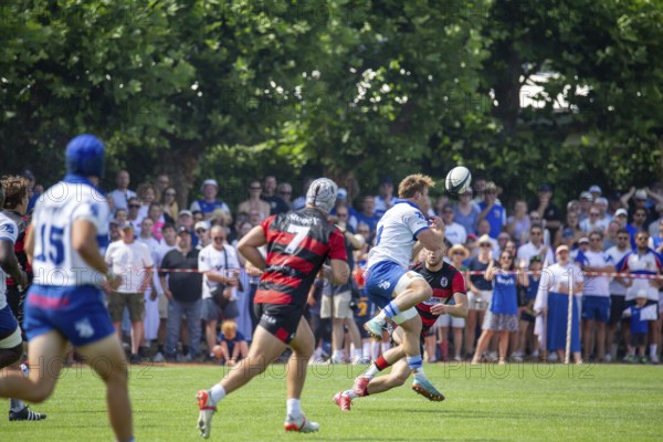Rugby Bundesliga, 2024/25 season, final for the German championship: SC Frankfurt 1880 v TSV Handschuhsheim