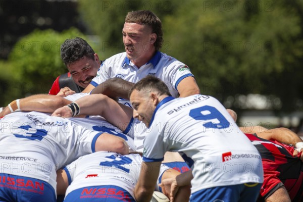 Rugby Bundesliga, 2024/25 season, final for the German championship: SC Frankfurt 1880 against TSV Handschuhsheim***Picture: The Handschuhsheim team at the scrimmage