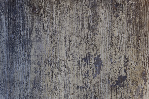 Een verouderen houten muur met afbladderende verf en een unieke textuur. De ruimte straalt een rustieke charme uit die de aandacht trekt. Bas Rhin, Alsace, France