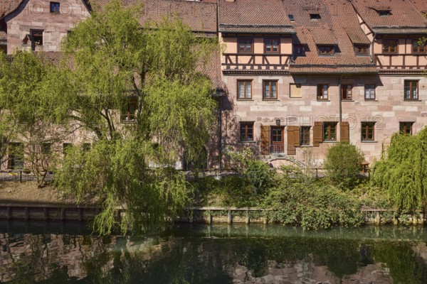 Old town, river Pegnitz, Babylon willow (Salix babylonica), historic buildings, roofs, red roof tiles, tree, reflections, water surface, Vordere Insel SchÃ¼tt, Nuremberg, Middle Franconia, independent city, Bavaria, Germany