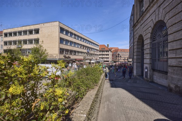 Pedestrian zone, flower bed, common mahonia (Mahonia aquifolium), general architecture, wall, retail, pedestrians as secondary motif, blue sky, cloudless, KönigstraÃŸe, Nuremberg, Middle Franconia, independent city, Bavaria, Germany