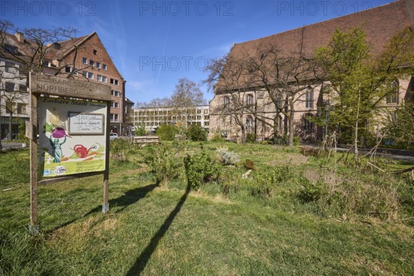 Edible city Jakobsplatz, city garden, gardens, trees, general architecture, St. Jakob, church, blue sky, Jakobsplatz, Nuremberg, Middle Franconia, independent city, Bavaria, Germany