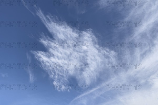 Fibrous veil clouds Cirrus in front of blue sky. international
