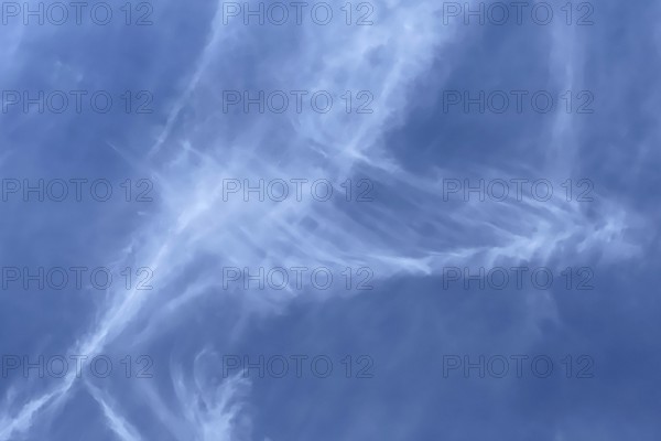 Fibrous veil clouds Feather clouds Cirrus in front of blue sky. international