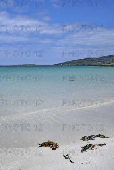 Calm beach with blue sky, clear water and seaweed in the foreground, Outer Hebrides, Eriksay, Scotland, United Kingdom