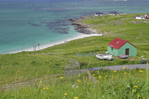 Green pastures with a red shed on a rocky coast by the sea, Outer Hebrides, Eriksay, Scotland, United Kingdom