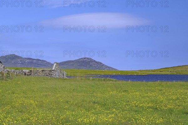 Wide green flower meadow with ruins against a mountainous backdrop under a blue sky, Outer Hebrides, South Uist, Scotland, Great Britain