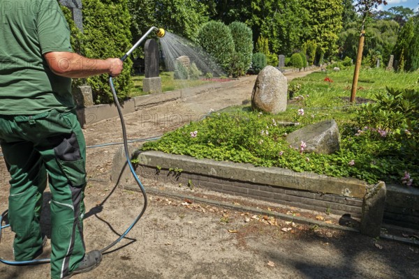 Green areas, flowers, drought, garden hose, gardening employee, in work clothes, gardening and landscaping, Lutheran cemetery, Heisfelder StraÃŸe, Leer, East Frisia, Germany