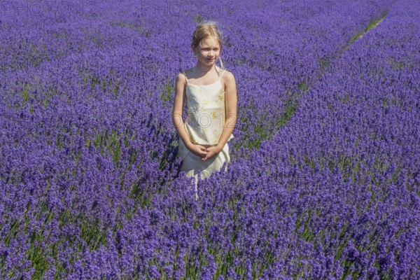Blonde girl, 9 years old, standing in blooming lavender field in Köpingebro, Ystad Municipality, SkÃ¥ne County, Sweden, Scandinavia