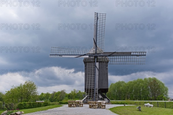 Buck windmill, Borken-Weseke, MÃ¼nsterland, North Rhine-Westphalia, Germany