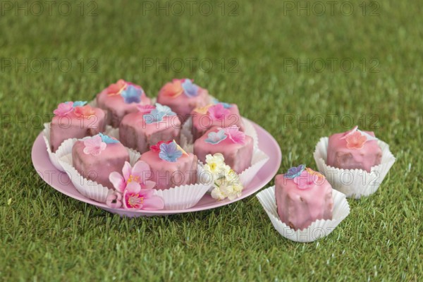 Pink petit fours with flower decoration on a plate in the grass