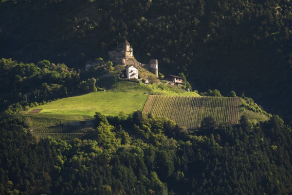View of Annenberg Castle in the evening light, Dolomites, South Tyrol, mountains, Latsch, Goldrain, Vinschgau, Italy